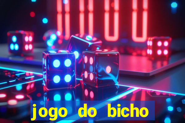 jogo do bicho crash bingo